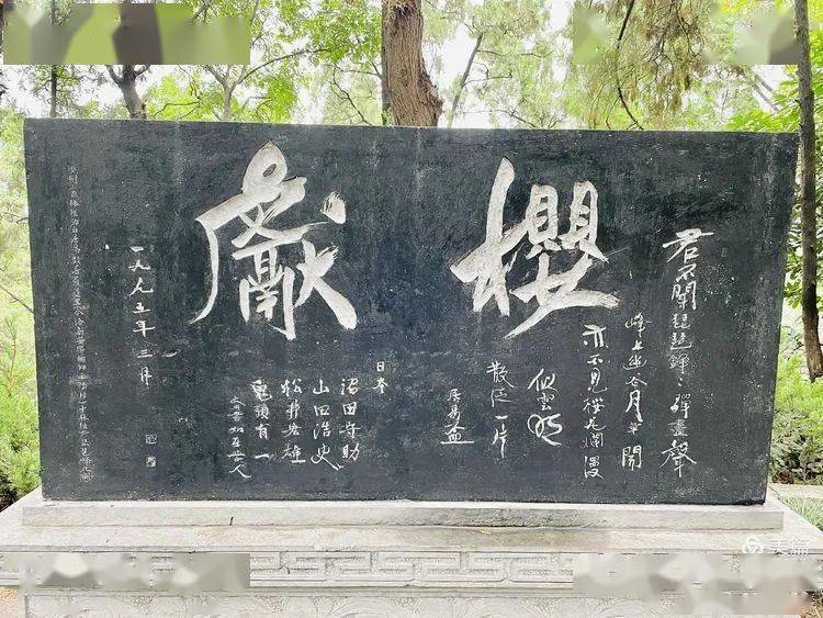 新澳正龙门客栈，传统与现代交融的精准住宿体验